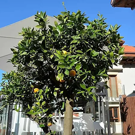 Tinas De