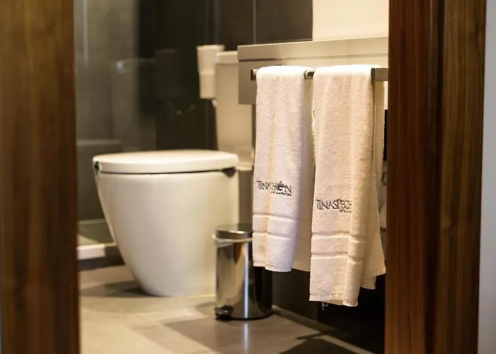 Tinas De Hotel Pechon